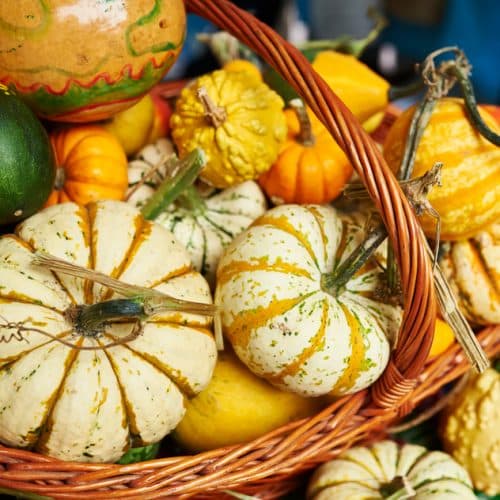 Fall in Love with Fall Fruits and Vegetables