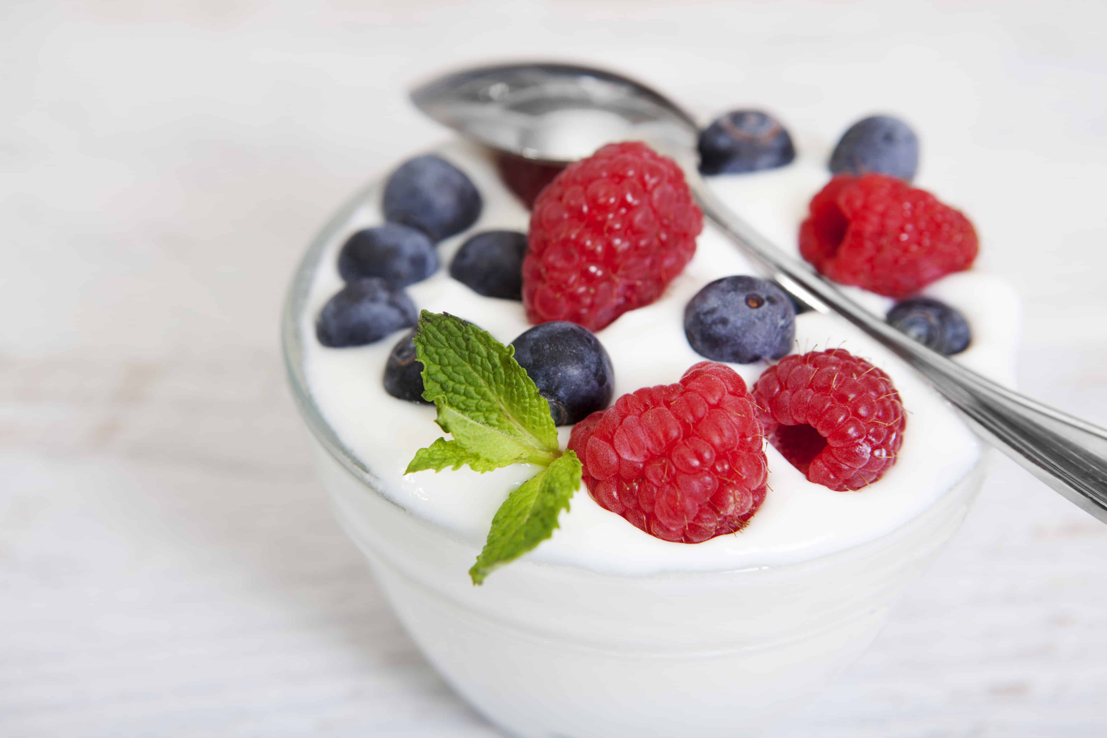 Yogurt in Every Kitchen – A Must Have in the Summer