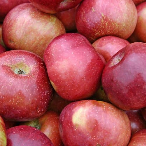 A large group of beautiful red apples